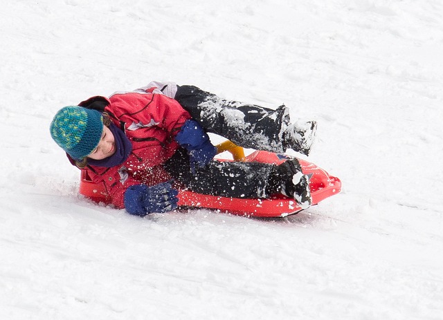 Sledding, Winter, Sled